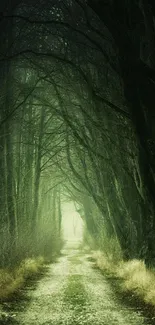 A mysterious green forest pathway perfect for serene phone backgrounds.