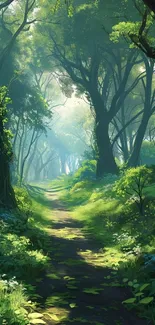 Sunlit forest pathway surrounded by lush green trees.