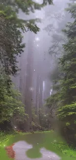 Enchanted forest path with fog and lush greenery creating a serene ambiance.