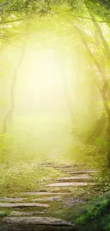 Enchanted forest pathway with sunlight filtering through trees.