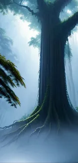 Mystical forest with towering tree and misty ambiance.