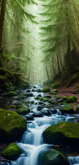 Serene forest stream with moss-covered rocks and lush green trees.