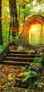 Enchanting sunrise through forest arch with autumn leaves.