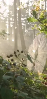 Sunlight filters through trees in an enchanted forest, illuminating a spider web.