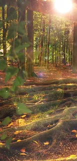 Enchanted tree in a serene forest with mystical roots and sunlight filtering through leaves.