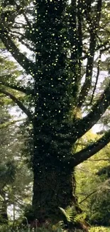 Enchanted forest with sparkling lights on a tall tree in lush greenery.