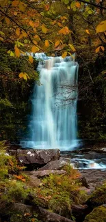 Enchanting forest waterfall with autumn leaves.