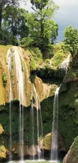 Scenic view of lush green forest with cascading waterfalls.