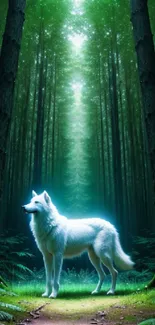 White wolf stands in a mystical green forest under a glowing canopy.