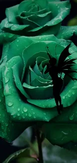 Green rose with fairy silhouette, enchanting mobile wallpaper.