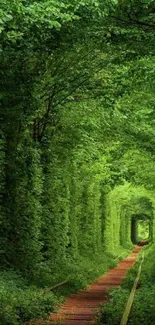 Lush green tunnel path with vibrant foliage, perfect for nature lovers.