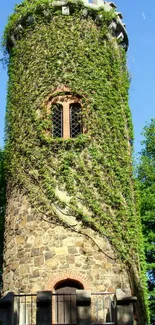 Stone tower wrapped in ivy with lush green background.