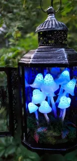 Enchanted lantern with glowing blue mushrooms in a mystical setting.