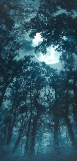 Moonlit forest with trees under a tranquil night sky.