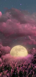 Magical lavender field under a full moon and pink clouds at night.