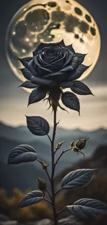 Moonlit rose with full moon backdrop, serene night wallpaper.