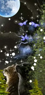 Cat gazing at moon in mystical night sky wallpaper with trees.