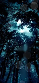 Dark blue night forest with moonlight shining through trees.