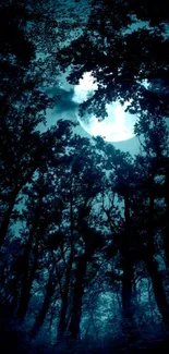 Mystical night forest wallpaper with moonlit trees in dark blue hues.