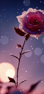 A single rose under a starry sky and full moon in a dreamy night scene.