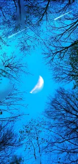 Crescent moon in a blue night sky with tree silhouettes.