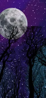 Full moon with silhouetted trees against a starry purple sky.