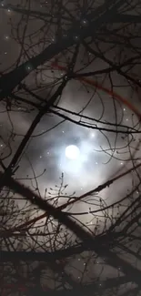 Moonlight filters through bare branches under a starry night sky.