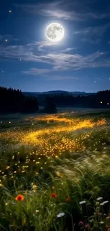 Moonlit field with starry night sky and glowing fireflies.