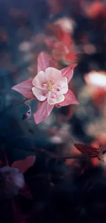 Ethereal pink flower blossoms with navy blue background.