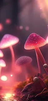 Magical pink mushrooms glowing in an enchanted forest scene.