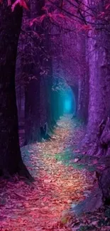 Enchanting purple forest path wallpaper with vibrant colors.