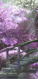 Enchanted purple garden with wooden bridge and lush foliage.