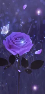 Enchanted purple rose and butterfly on a dark background.