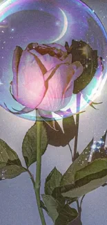 Fantasy wallpaper with a rose inside a cosmic bubble glowing softly.