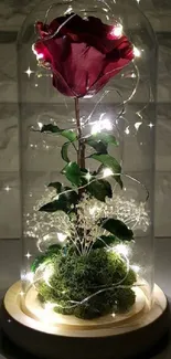 Glowing rose under glass dome with fairy lights, on wooden base.