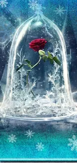 Enchanted red rose under glass dome on frosty cyan background wallpaper.