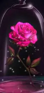 Enchanting pink rose under a glass dome with a sparkling effect.