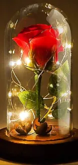 Enchanted rose under glass dome with fairy lights.