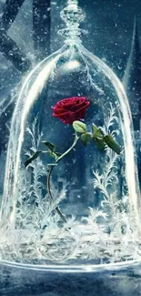 Enchanted rose under a glass dome with a mystical background.