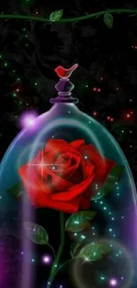 Enchanted red rose under a glass dome with a mystical glow and dark background.