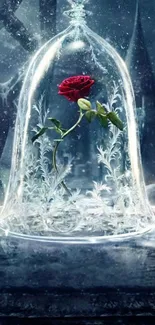 Red rose under delicate glass dome in fantasy setting.