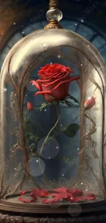 Red rose enclosed in a glass dome with a magical ambiance.