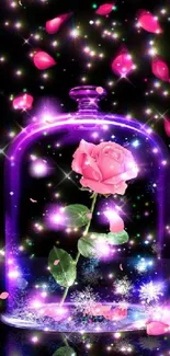 Glowing pink rose under a glass dome with sparkles.