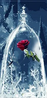 Enchanted rose under glass with icy blue background.