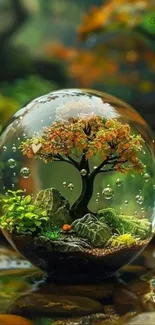 Magical terrarium with a vibrant tree inside a glass orb on a mobile wallpaper.