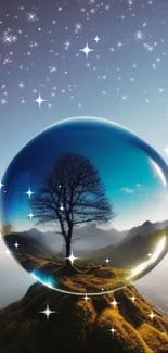 Fantasy wallpaper featuring a tree inside a glass sphere with stars.