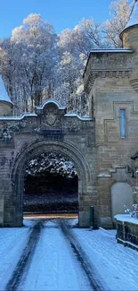 Enchanted gateway with snow in a winter forest setting.