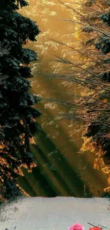 Snowy forest path under golden sunlight with flowers.