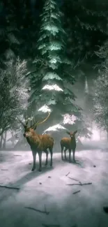 Two deer in a snowy enchanted forest during winter.