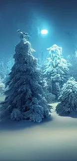 Snow-covered trees in a mystical blue-lit winter forest.